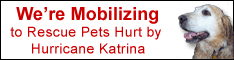 Hurricane Katrina Donations